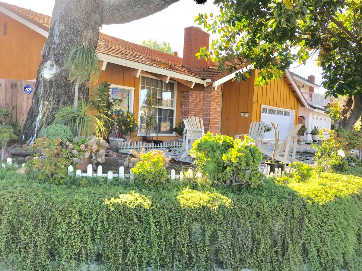 A charming wooden house surrounded by lush greenery and trees basking in sunlight.