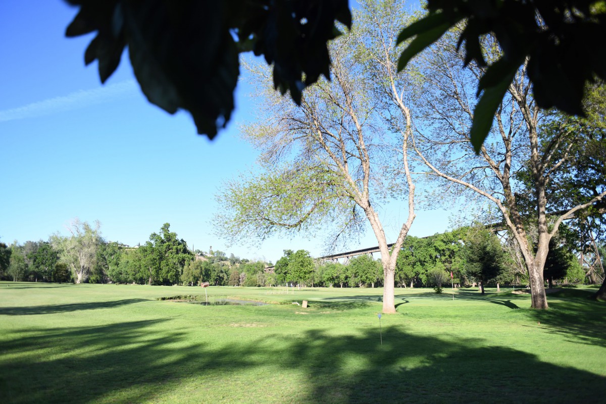 A peaceful park scene with green grass and trees under a clear blue sky.