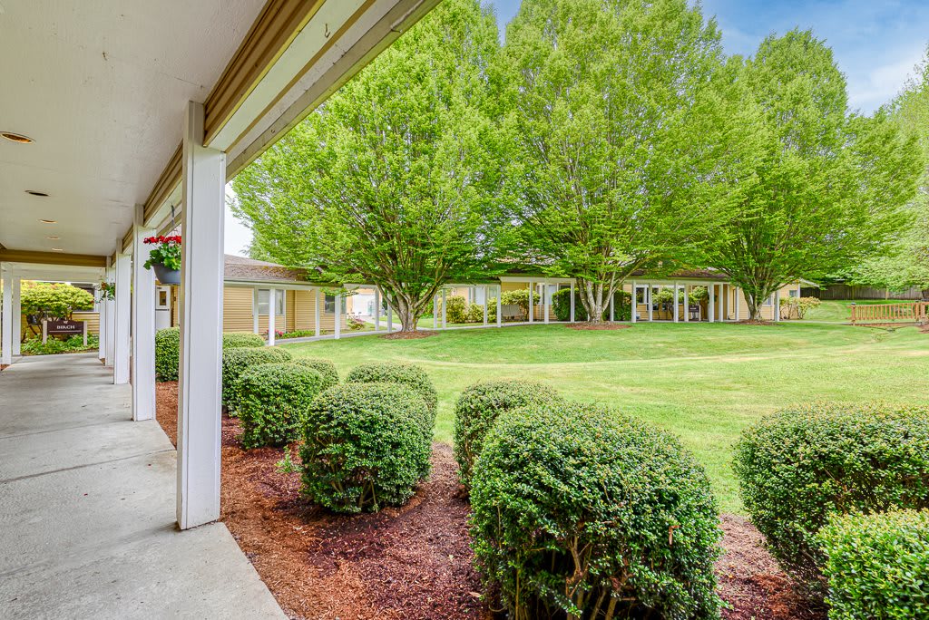 A peaceful garden with neatly trimmed shrubs and lush green trees surrounding a spacious lawn.