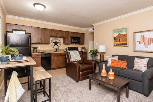 A cozy and modern apartment living space featuring a well-equipped kitchen and inviting furnishings.