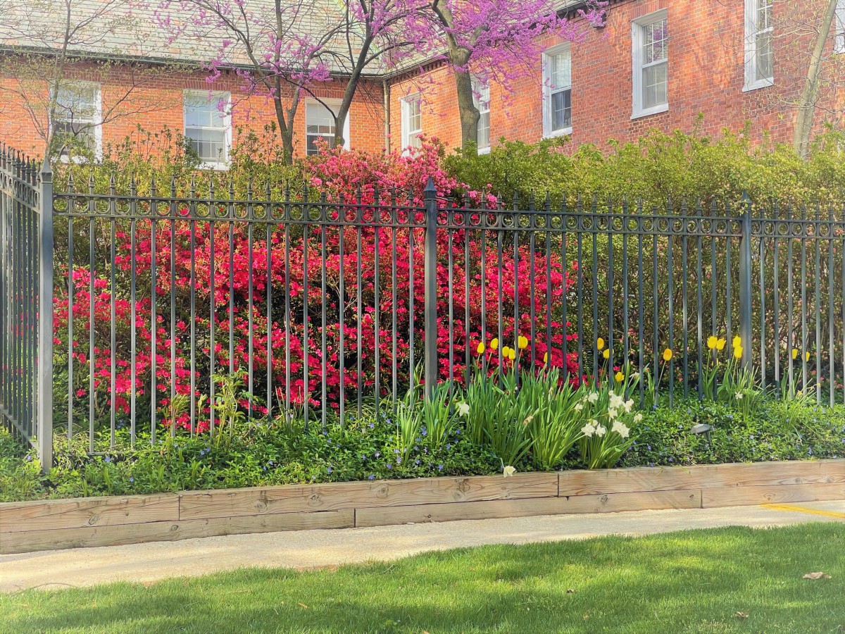 A vibrant spring garden with colorful flowers in front of a brick building.