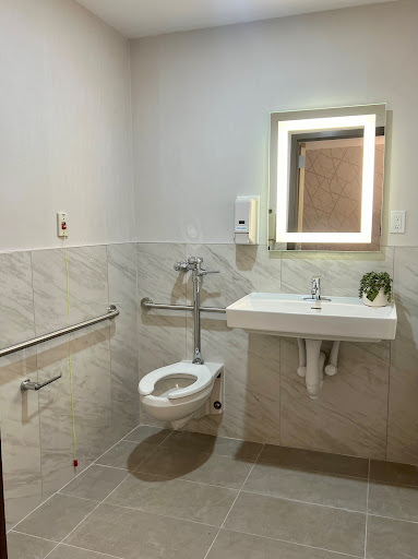 A modern accessible bathroom equipped with necessary amenities.