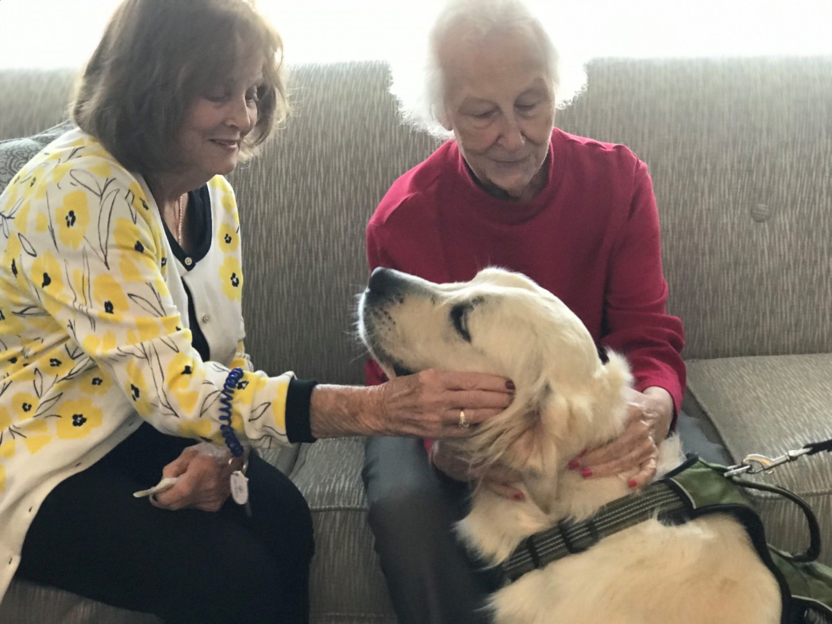 An elderly couple sitting on a sofa, warmly petting their dog.