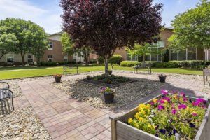 A landscaped garden with a central tree, flower beds, and benches.