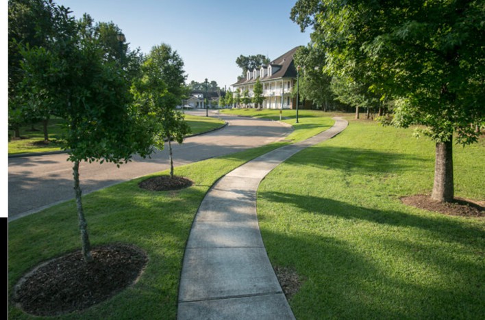 A sunny suburban scene featuring a winding sidewalk flanked by grass and trees.