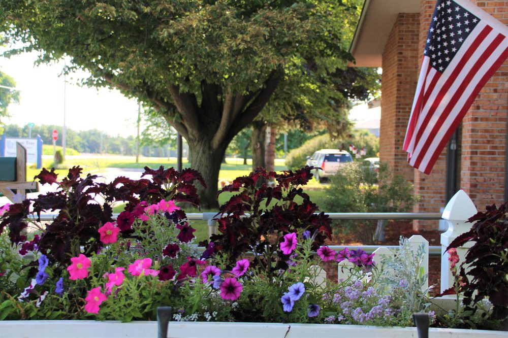 A vibrant garden with colorful petunias and an American flag in the background.