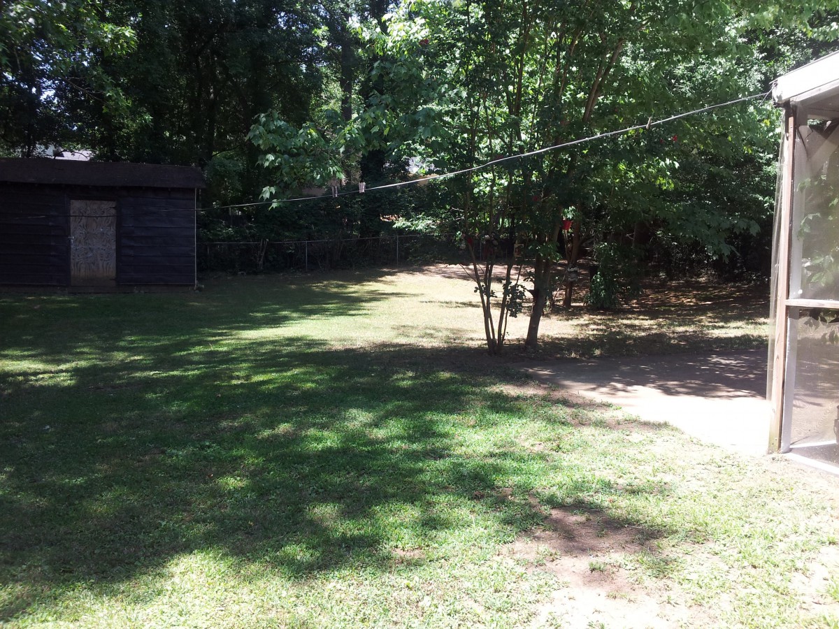A sunny backyard with lush trees and green grass.