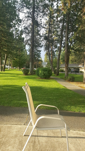 A peaceful park setting with a green lawn and tall trees, perfect for relaxation.