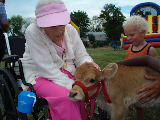 A heartwarming moment as an elderly woman and a young child interact with a gentle calf in an outdoor setting.
