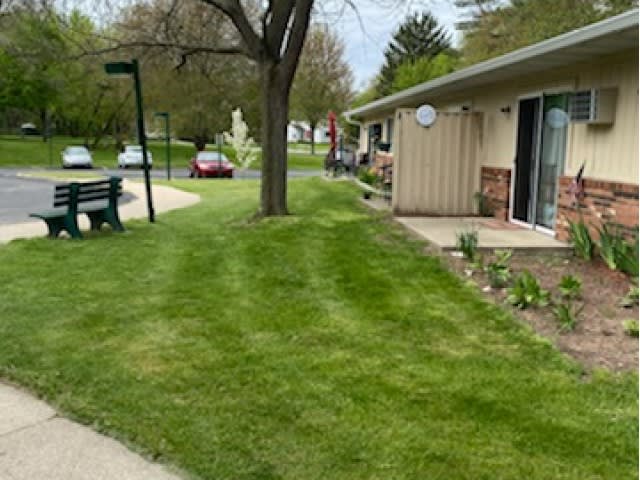 A well-maintained suburban lawn with a tree, next to a house and sidewalk.