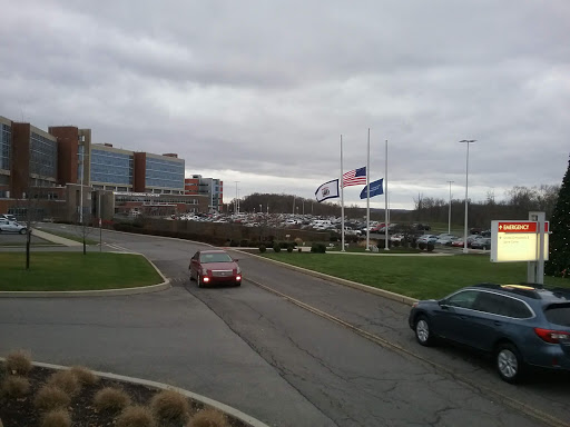 A view of flags flying in front of a building on a cloudy day, with cars on the roadway.