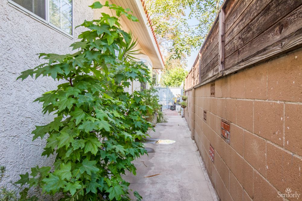 A narrow outdoor walkway with green foliage along a concrete path beside a wooden fence.