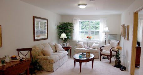 A cozy living room with a sofa, coffee table, and lamps, complemented by natural light from the window.