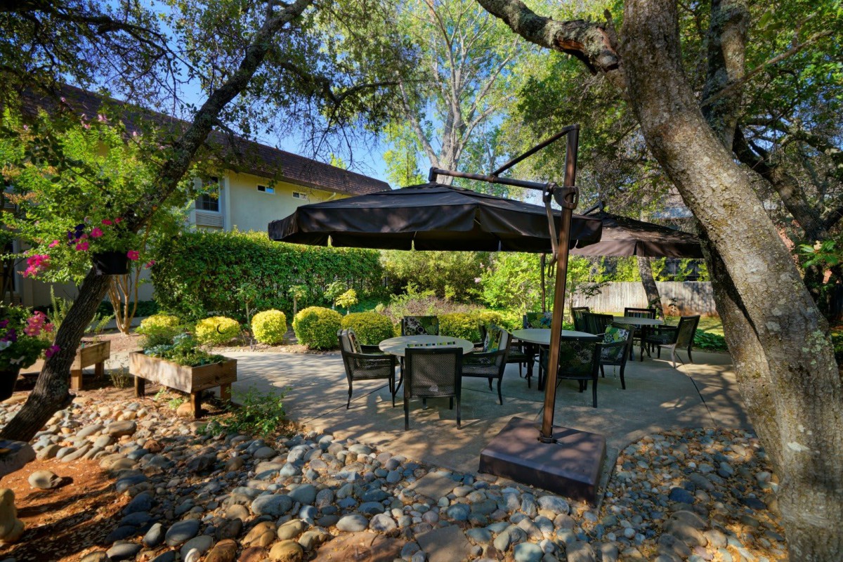 A tranquil outdoor seating area with tables and chairs shaded by an umbrella, surrounded by lush greenery and trees.