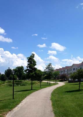 A scenic view of a pathway winding through a park, with trees lining the path and a building in the background under a bright blue sky.