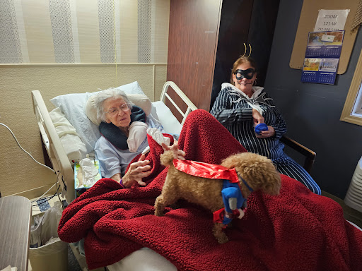 A comforting moment in a hospital room, where an elderly patient enjoys the company of a dog and a visitor.