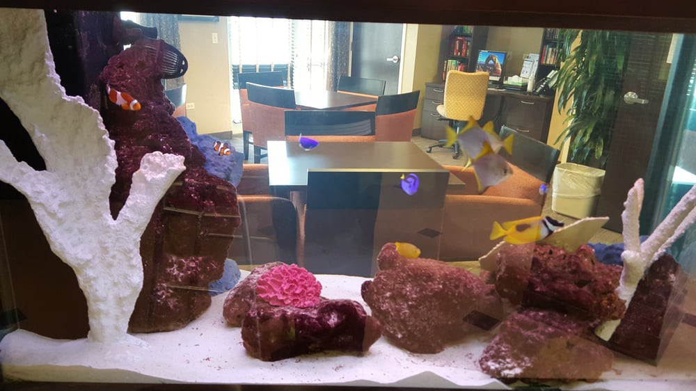 An aquarium with colorful corals and fish swimming among them.