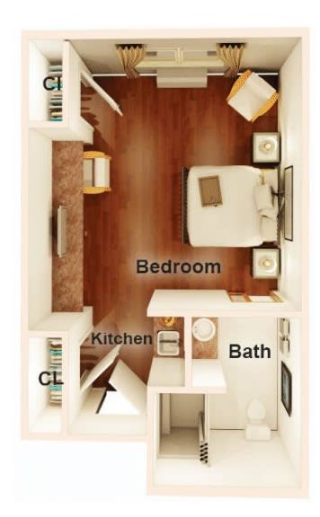 An apartment floor plan showing a bedroom, kitchen, bathroom, and closet.