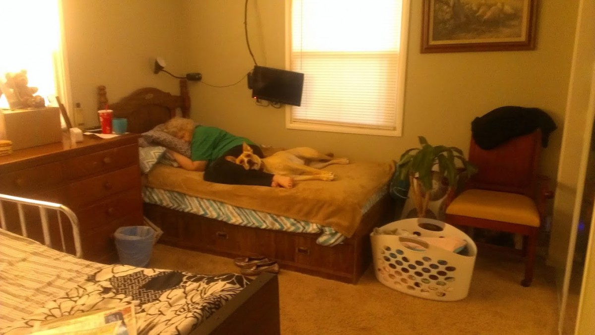 A bedroom with a person and a dog resting on the bed.