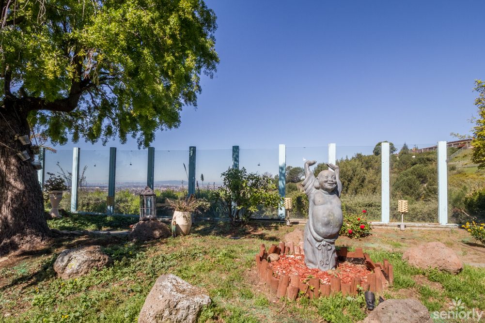 A garden scene with a stone statue surrounded by greenery and a clear blue sky.