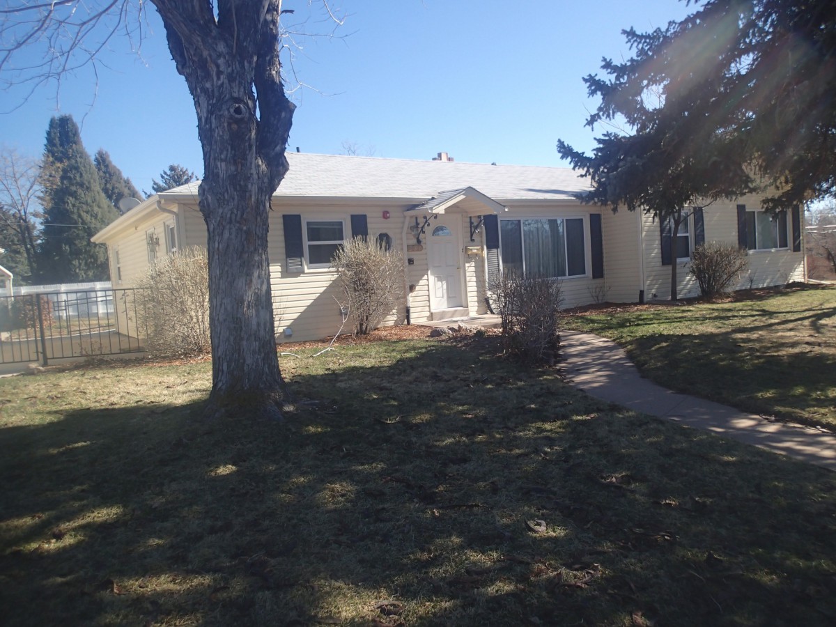 A suburban house with a yard and trees under clear daylight.