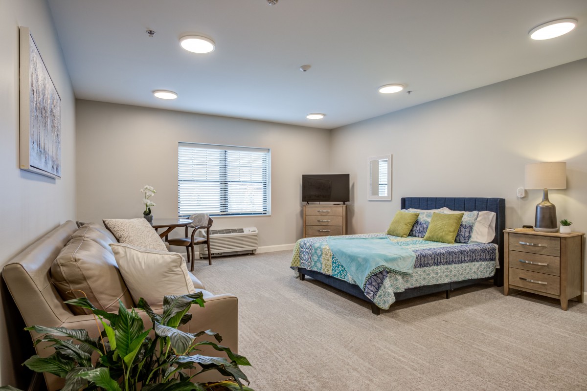 A spacious, modern bedroom with a bed, sofa, and television.