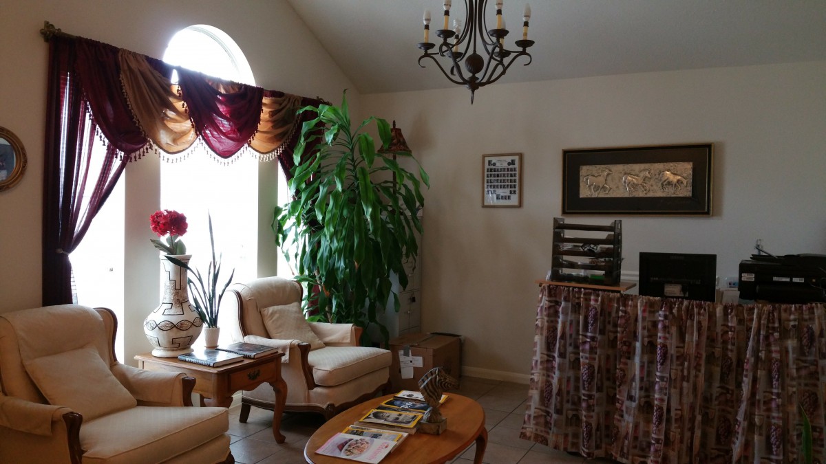 A cozy living room with armchairs, a chandelier, and a large indoor plant.
