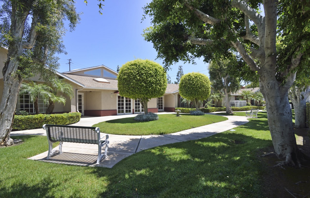 A sunny day in a well-maintained yard with trees, a bench, and a house in the background.
