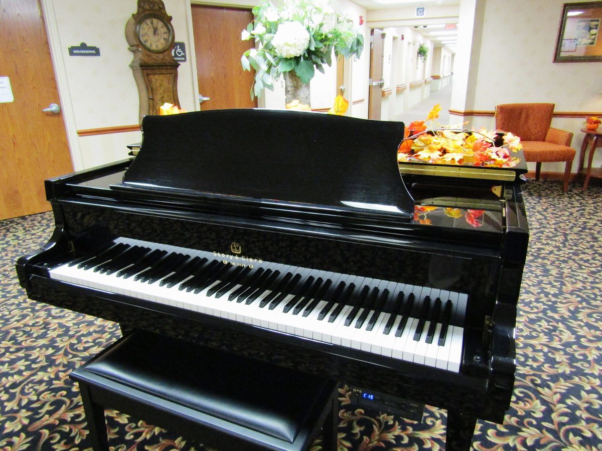 A black grand piano displayed indoors with decorative items in the background.