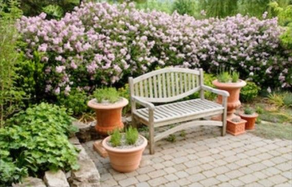Lilac View