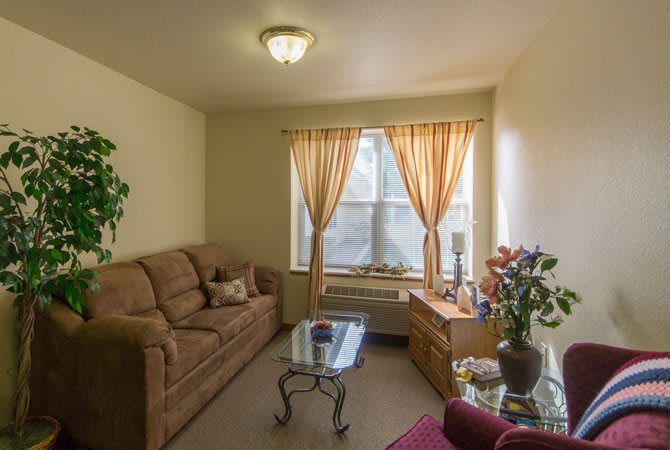 A cozy living room with a brown couch, decorative plants, and large window curtains.