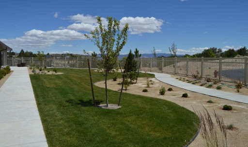 A serene outdoor landscape featuring lush green grass, trees, and a clear blue sky.