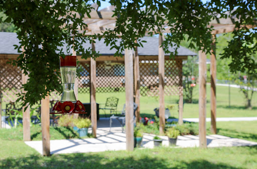 A serene outdoor space featuring a pergola, chairs, and potted plants.
