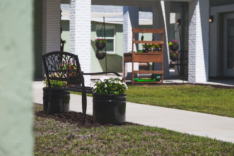 A peaceful garden area with a bench and potted plants under the sun.