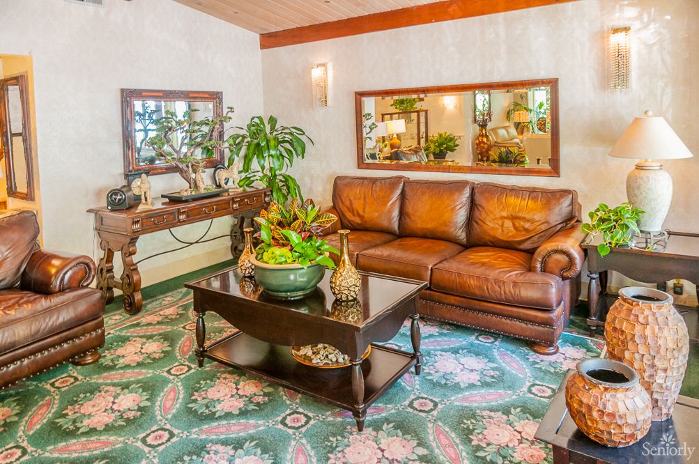 A cozy living room with a leather sofa, decorative coffee table, and vibrant plants.