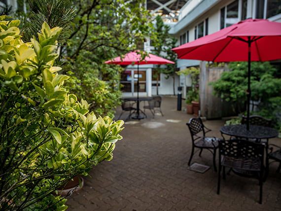 A cozy outdoor patio with lush greenery, red umbrellas, and seating arrangements.