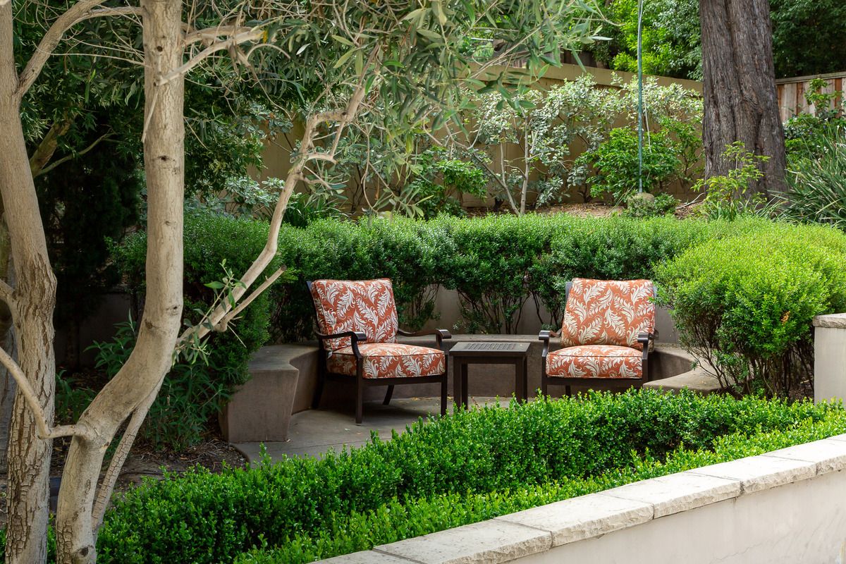 A peaceful garden patio with two cushioned chairs surrounded by lush greenery.