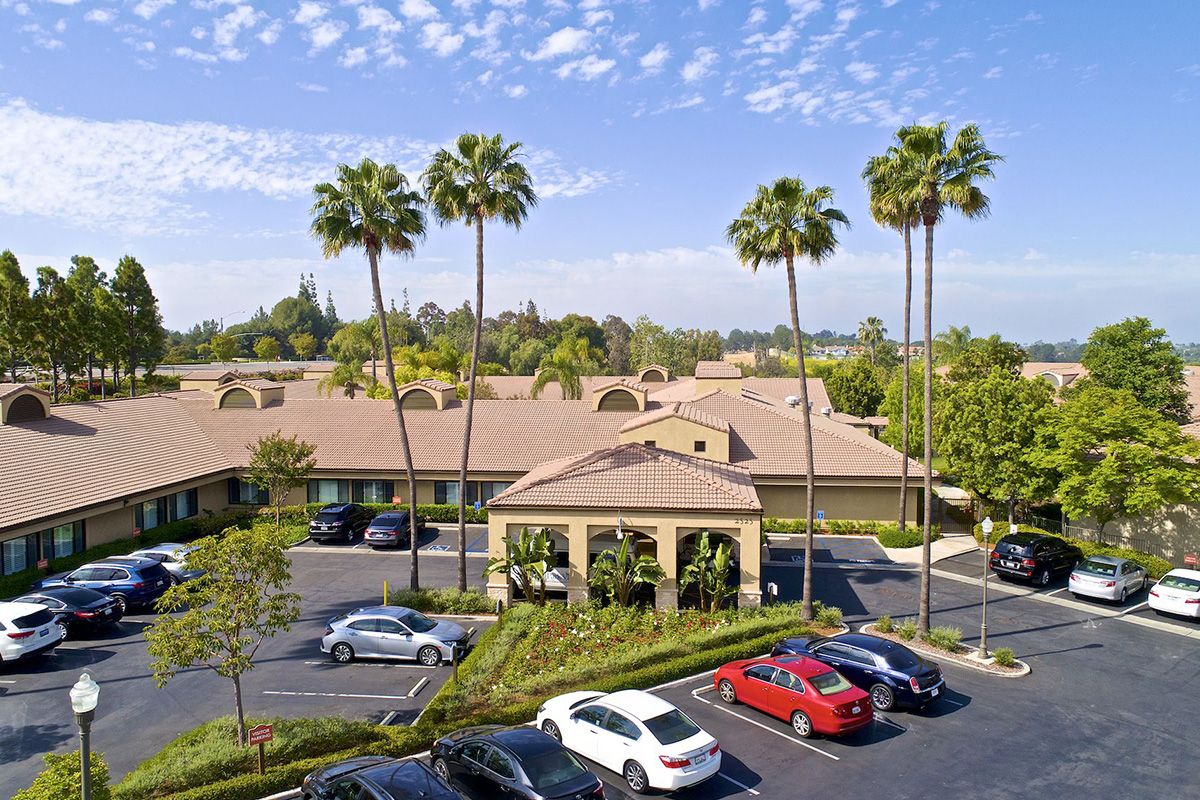 A sunny view of an office building surrounded by palm trees, with several cars parked in the lot.