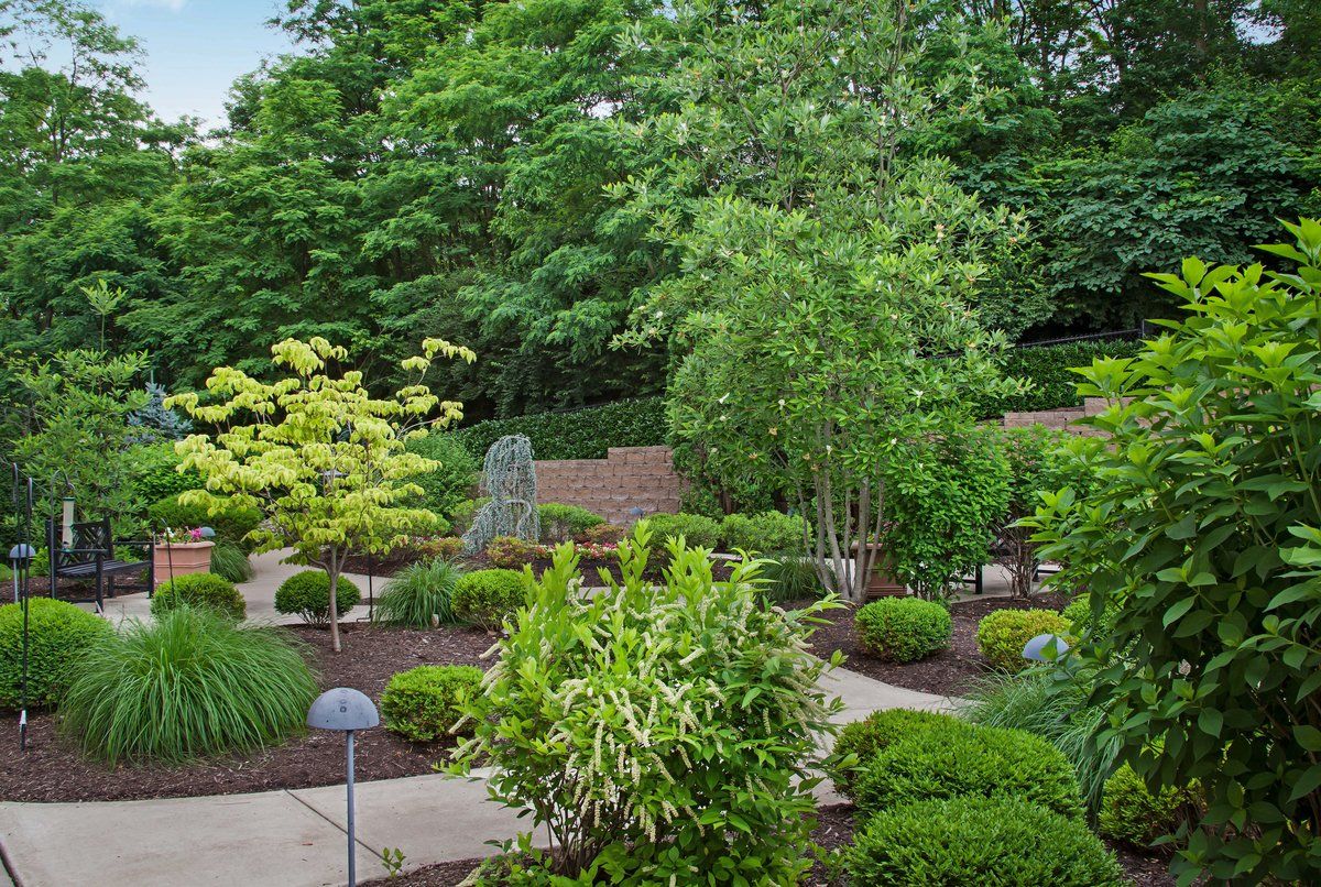 A beautifully landscaped garden with winding pathways and lush greenery.