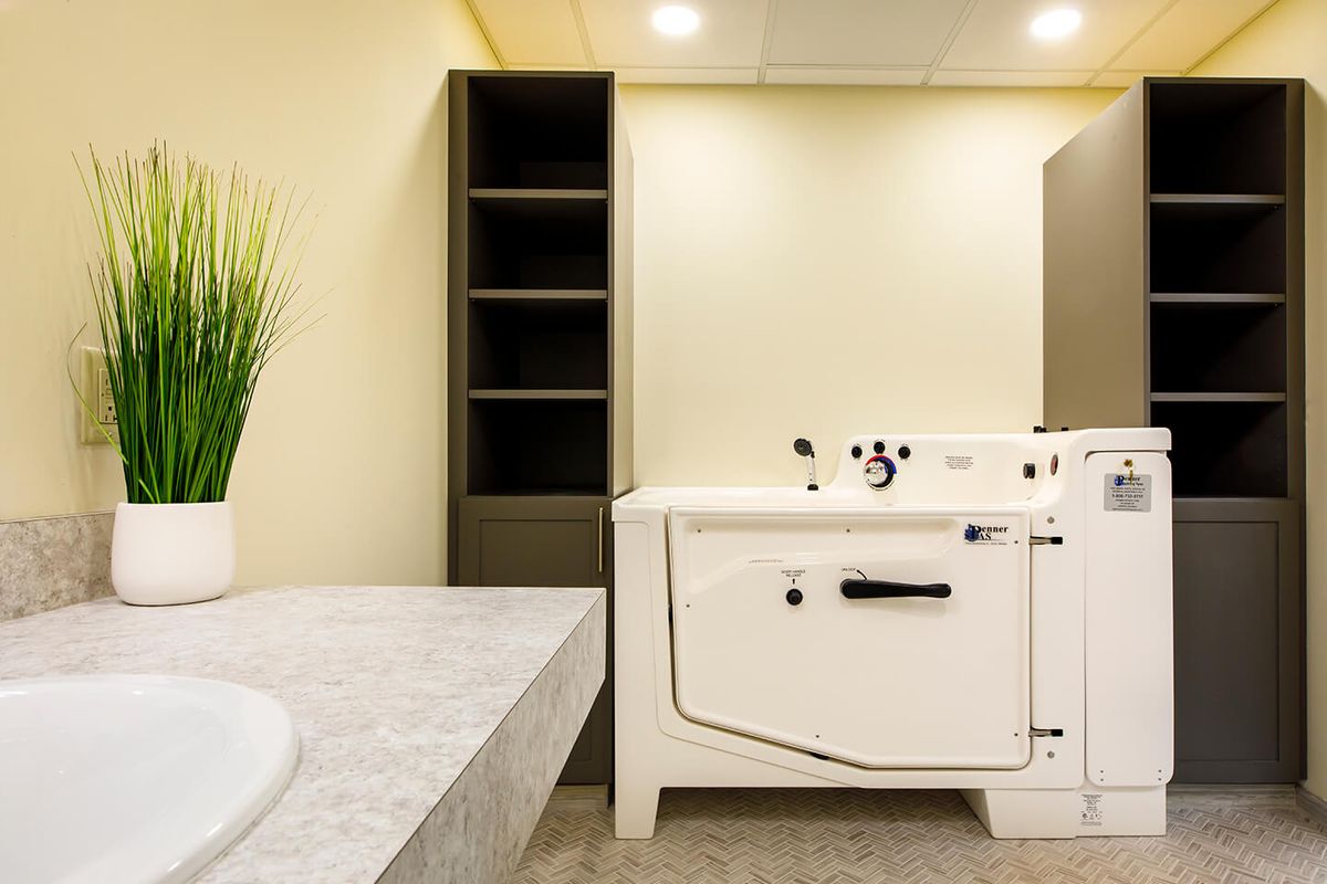 A modern bathroom featuring a walk-in bathtub, sink, shelving unit, and indoor plant.