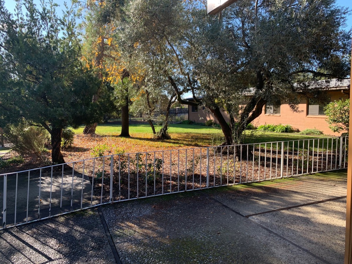 A peaceful garden with trees and a fence bordering a house in the sunlight.