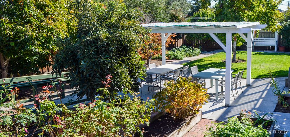 A sunny garden with a pergola and outdoor seating area surrounded by lush greenery.