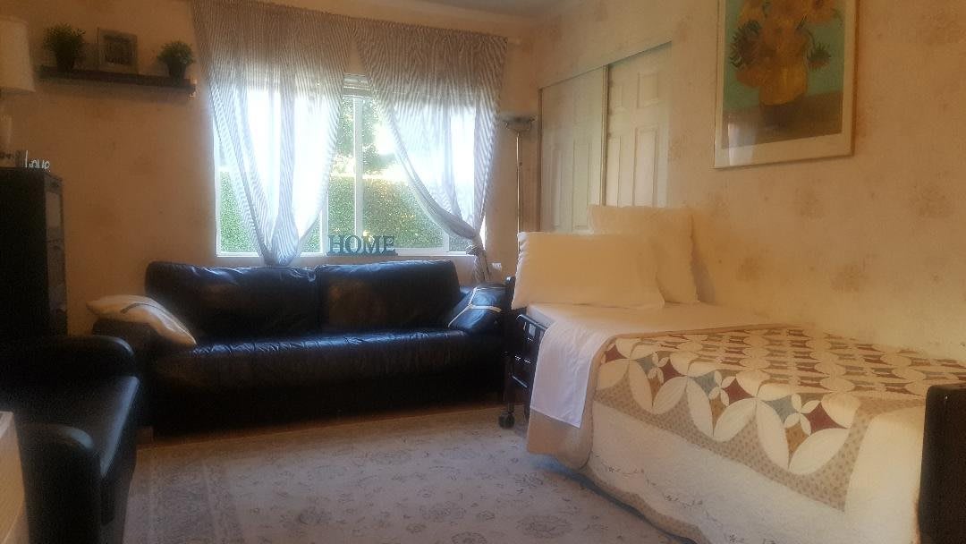 A cozy living room with a leather sofa and a large window letting in natural light.