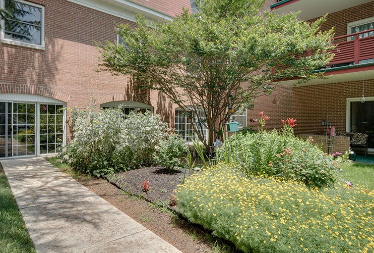 A well-maintained garden with various flowering plants and shrubs near a brick building.