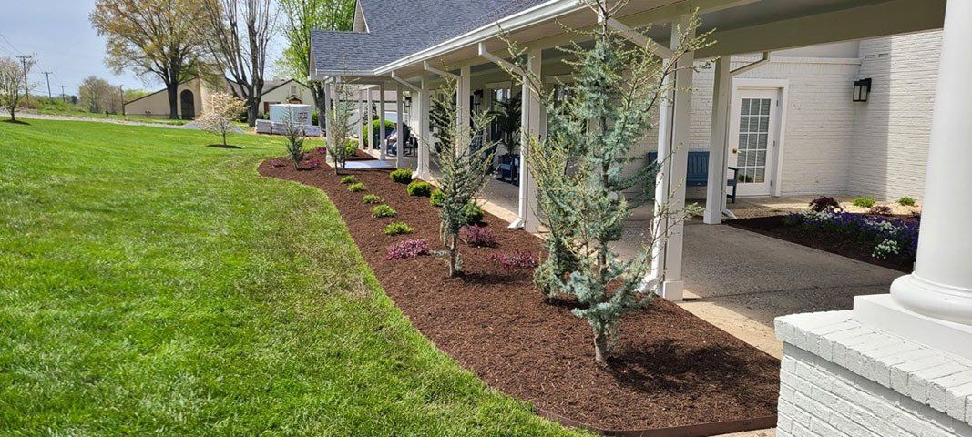 A landscaped garden with mulch, shrubs, and young trees along a covered walkway.