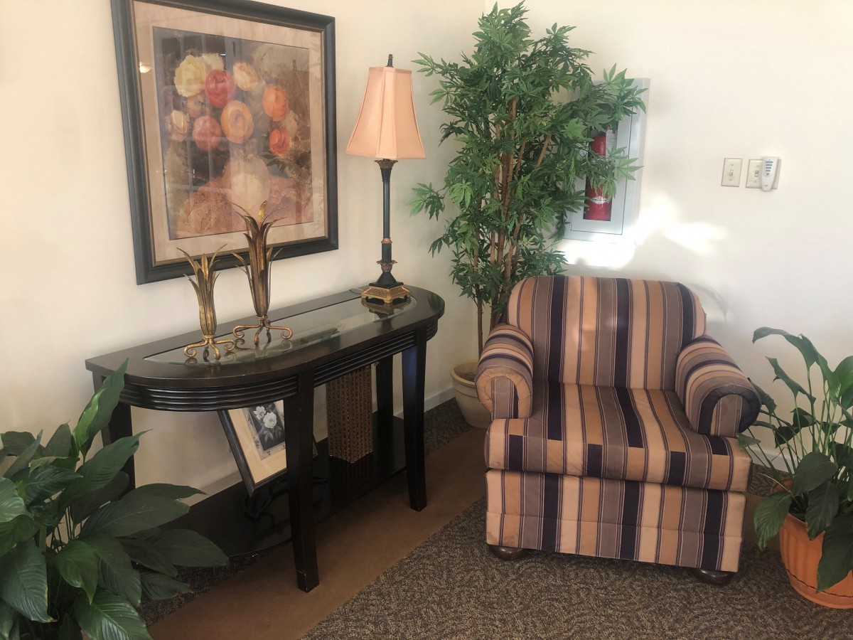 A cozy living room setup with a striped armchair, a sofa table adorned with a lamp and decorative items, artwork on the wall, and indoor plants.