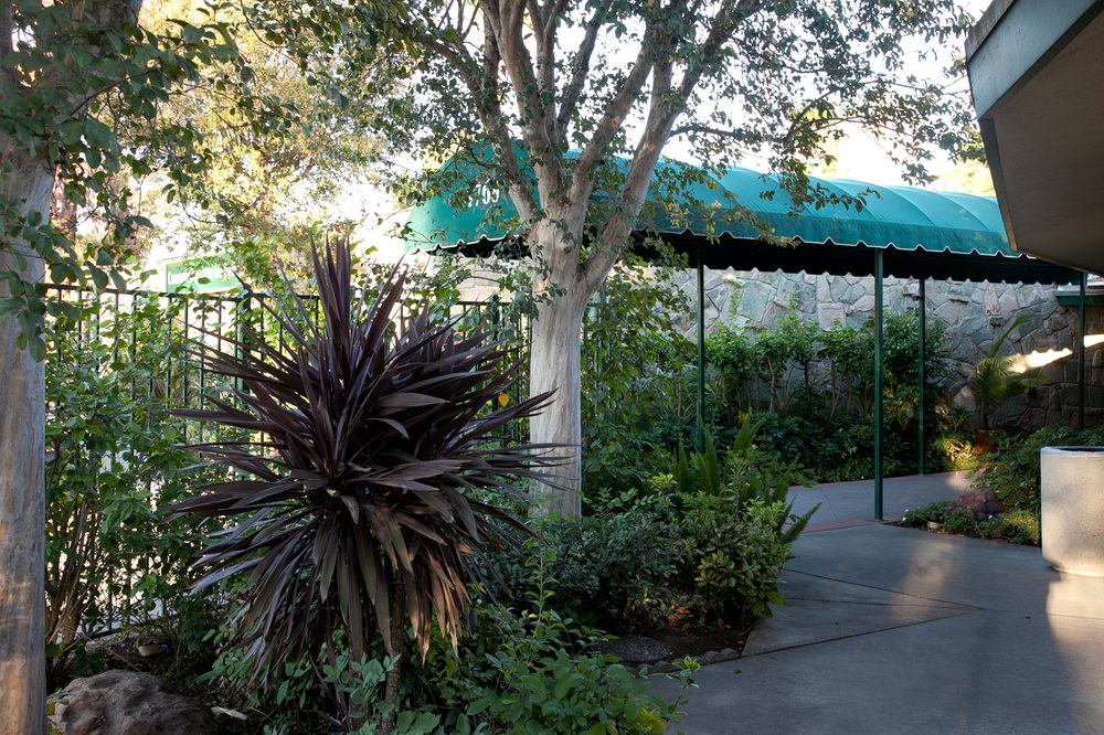 A tranquil garden path shaded by a green canopy and surrounded by lush foliage.