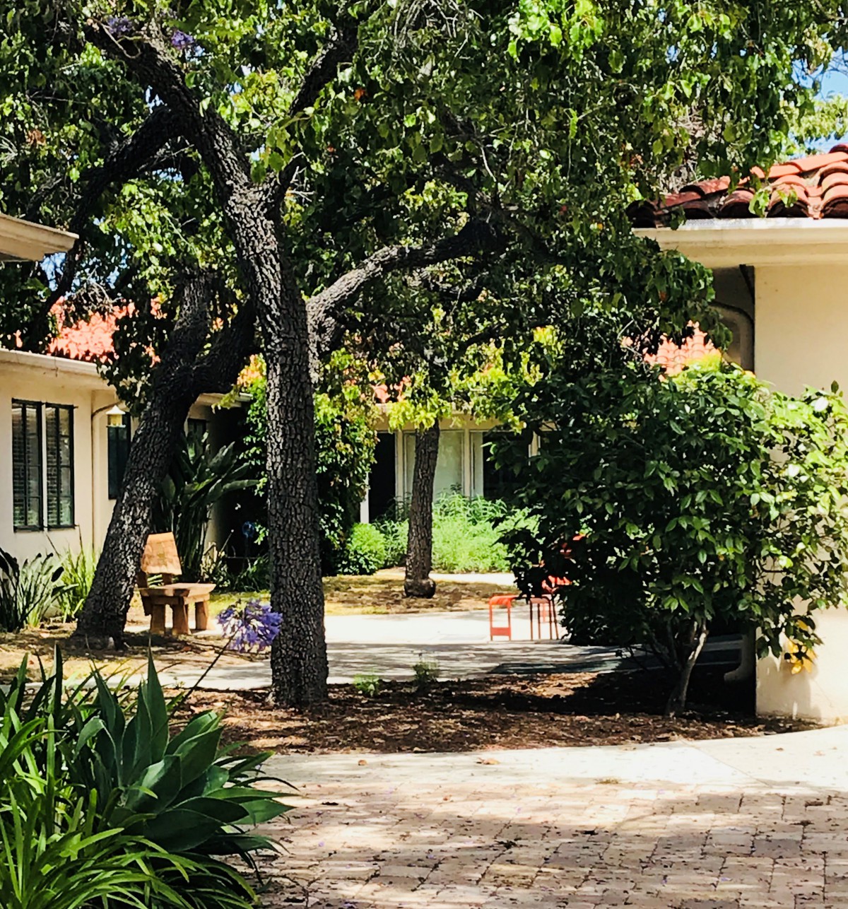 A tranquil courtyard with lush greenery and seating areas bathed in sunlight.