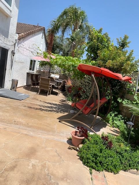 A sunny backyard patio with a red swing chair and surrounding greenery.