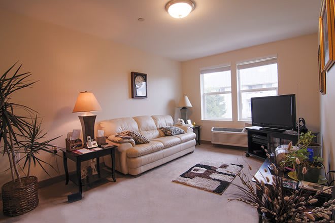 A cozy living room with a sofa, lamps, and a television.